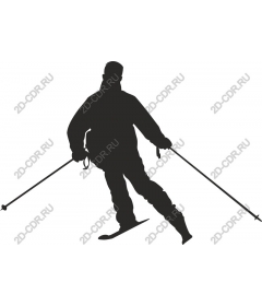 Dynamic skiing