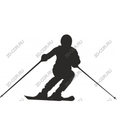 Dynamic skier
