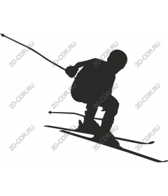 Dynamic skiing