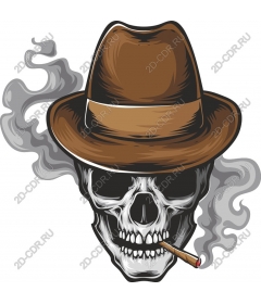 Stylish skull with a felt hat and a smoke