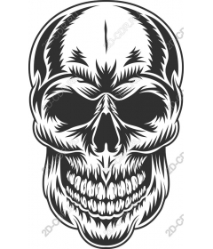 Spicy skull