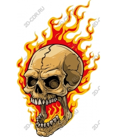  Flaming Skull