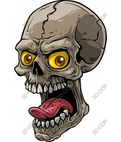  Bright skull