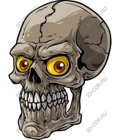  Bright skull