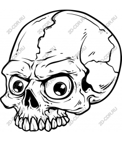  Cartoon skull