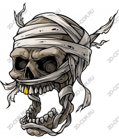 Threatening wrapped skull