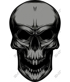 Premium Skull
