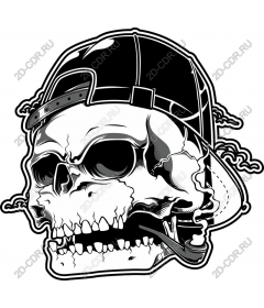  Urban Skull - Snapback Edition