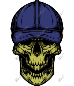  Hat skullcap