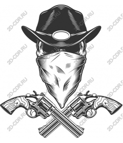  Cowboy shooter