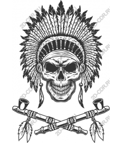 Magnificent skull with Indian headdress