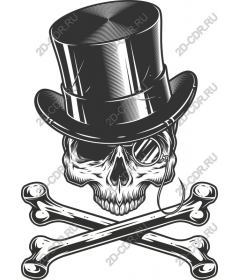  Dapper skull in cylinder