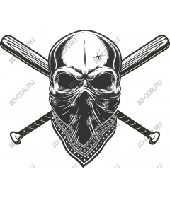 Daring skull bandana