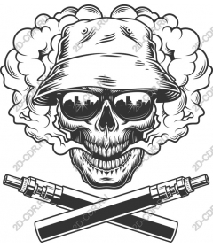 Urban skull in the Panama hat and sunglasses
