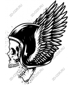 A helmet with a winged skull