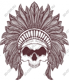  Feathered skull