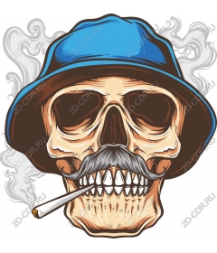 Vintage skull wearing a blue hat with a mustache