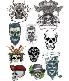 Best collection of skulls