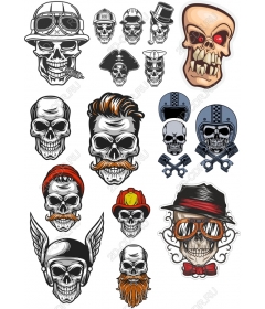 The collection of skulls: Kit