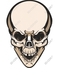  Drawing of a skull - Angie