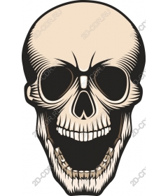 Intricate skull