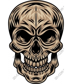 Spicy skull