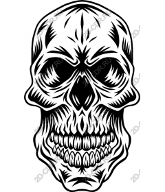 Intricate skull
