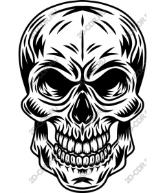 Intricate skull