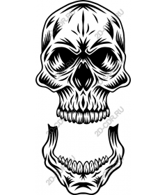 Intricate skull