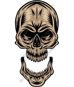  Cool vintage skull