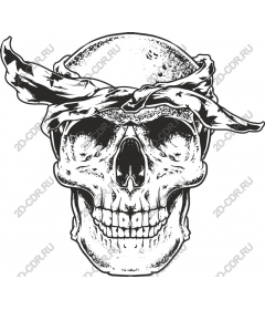 Bandana with skull