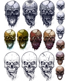 Set of drawings of skulls - 12 unique