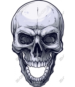 Premium Skull