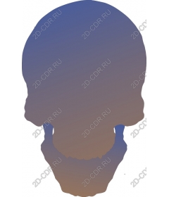 Gradient skull