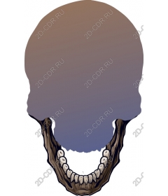  Art Skull