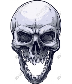  Art Skull