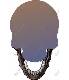  Surreal skull and tree