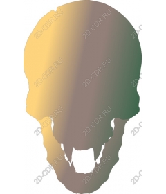 Gradient skull