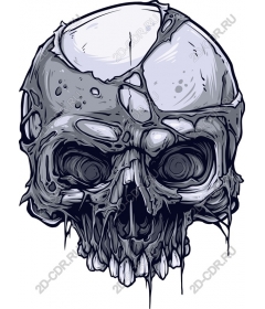  Broken Skull