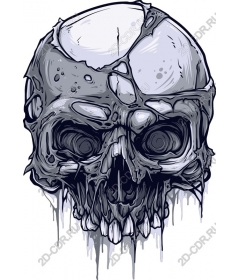  Cracked skull