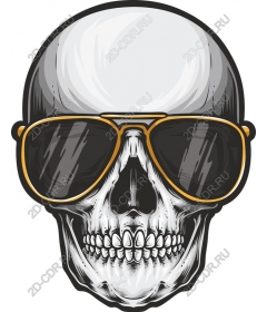 Stylish skull in sunglasses