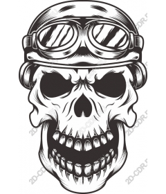 Vintage skull with sunglasses