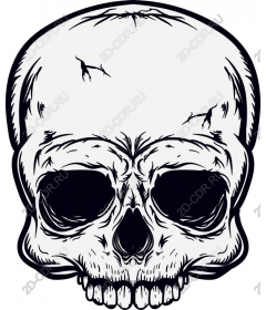 Intricate skull