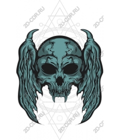  Acute skull with wings