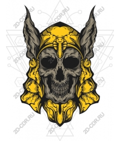  A Warrior Of The Golden Skull