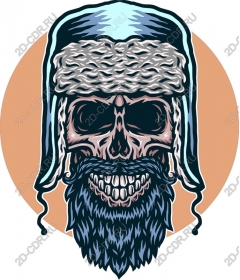 Daring skull with beard in a winter hat