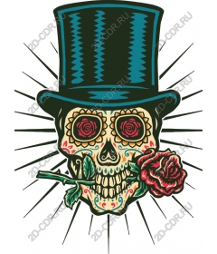  Elegant skull in hat and rose