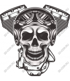  Двигатель мотоцикла Skull Rider