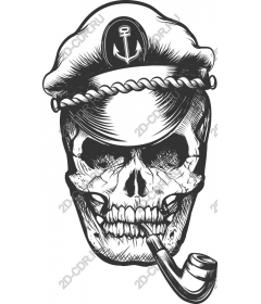 Marine skull