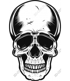 Vintage skull